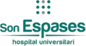 Son Espases